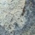Persa Blue